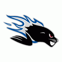 2005 06-Pres Saint John Sea Dogs Primary Logo Light Iron-on Stickers (Heat Transfers)