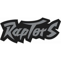 Toronto Raptors Script Logo  Light Iron-on Stickers (Heat Transfers)