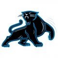 Carolina Panthers Alternate Logo  Light Iron-on Stickers (Heat Transfers) version 2