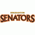 2002 03-Pres Binghamton Senators Wordmark Logo Light Iron-on Stickers (Heat Transfers)