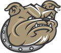 Bryant Bulldogs 2005-Pres Alternate Logo Light Iron-on Stickers (Heat Transfers)