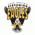 1997 98-Pres Cape Breton Screaming Eagles Primary Logo Light Iron-on Stickers (Heat Transfers)