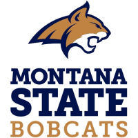 2013-Pres Montana State Bobcats Alternate Logo Light Iron-on Stickers (Heat Transfers)