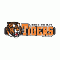 2003 04-Pres Medicine Hat Tigers Wordmark Logo Light Iron-on Stickers (Heat Transfers)