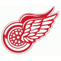 Detroit Red Wings Primary Logo  Light Iron-on Stickers (Heat Transfers)