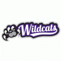 2012-Pres Weber State Wildcats Misc Logo Light Iron-on Stickers (Heat Transfers)