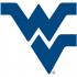 1980-Pres West Virginia Mountaineers Alternate Logo Light Iron-on Stickers (Heat Transfers)