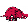 Arkansas Razorbacks 1967-1979 Alternate Logo Light Iron-on Stickers (Heat Transfers)