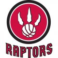 Toronto Raptors Alternate Logo  Light Iron-on Stickers (Heat Transfers) version 1