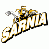 1996 97-Pres Sarnia Sting Alternate Logo Light Iron-on Stickers (Heat Transfers)