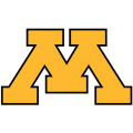 1986-Pres Minnesota Golden Gophers Alternate Logo Light Iron-on Stickers (Heat Transfers) 2