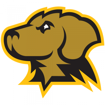 UMBC Retrievers 2010-Pres Partial Logo Light Iron-on Stickers (Heat Transfers)