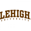 2004-Pres Lehigh Mountain Hawks Wordmark Logo Light Iron-on Stickers (Heat Transfers)