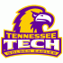 2006-Pres Tennessee Tech Golden Eagles Primary Logo Light Iron-on Stickers (Heat Transfers)