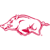 Arkansas Razorbacks 2001-Pres Alternate Logo Light Iron-on Stickers (Heat Transfers)