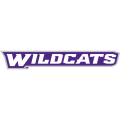 Abilene Christian Wildcats 2013-Pres Wordmark Logo1 Light Iron-on Stickers (Heat Transfers)