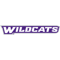 Abilene Christian Wildcats 2013-Pres Wordmark Logo1 Light Iron-on Stickers (Heat Transfers)