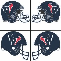 Houston Texans Helmet Logo  Light Iron-on Stickers (Heat Transfers)