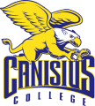 Canisius Golden Griffin 2000-Pres Primary Logo Light Iron-on Stickers (Heat Transfers)