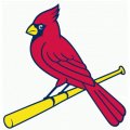 St. Louis Cardinals Alternate Logo  Light Iron-on Stickers (Heat Transfers) version 2