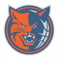 Charlotte Bobcats Alternate Logo  Light Iron-on Stickers (Heat Transfers) version 1