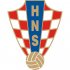 Croatia Football Confederation Light Iron-on Stickers (Heat Transfers)