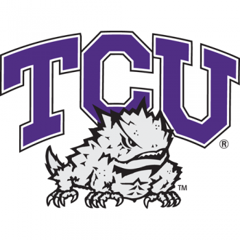 1995-Pres TCU Horned Frogs Primary Logo Light Iron-on Stickers (Heat Transfers)