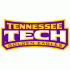 2006-Pres Tennessee Tech Golden Eagles Wordmark Logo Light Iron-on Stickers (Heat Transfers)