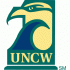 1998-Pres NC-Wilmington Seahawks Primary Logo Light Iron-on Stickers (Heat Transfers)