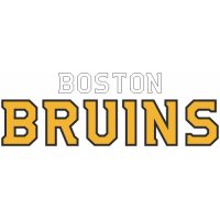 Boston Bruins Script Logo  Light Iron-on Stickers (Heat Transfers) version 2