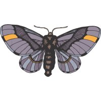 Butterfly Light Iron On Stickers (Heat Transfers) version 13