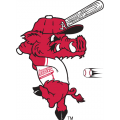 Arkansas Razorbacks 2001-Pres Mascot Logo Light Iron-on Stickers (Heat Transfers)