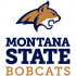 2013-Pres Montana State Bobcats Alternate Logo Light Iron-on Stickers (Heat Transfers)