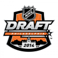 2013 14 NHL Draft Primary Logo Light Iron-on Stickers (Heat Transfers)