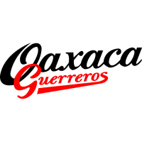 Oaxaca Guerreros wordmark logo-(0-press) Light Iron-on Stickers (Heat Transfers)