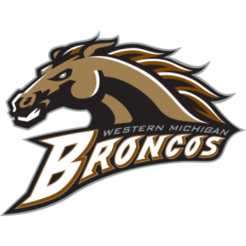 1998-Pres Western Michigan Broncos Primary Logo Light Iron-on Stickers (Heat Transfers)