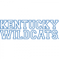 2005-Pres Kentucky Wildcats Wordmark Logo Light Iron-on Stickers (Heat Transfers) 2