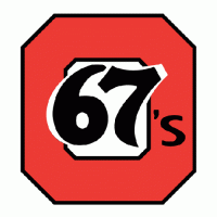 1987 88-1997 98 Ottawa 67s Primary Logo Light Iron-on Stickers (Heat Transfers)