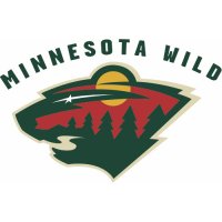 Minnesota Wild Alternate Logo  Light Iron-on Stickers (Heat Transfers) version 1