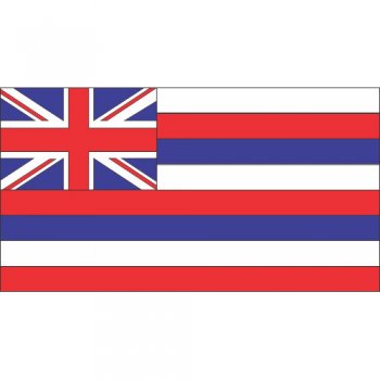 Hawaii State Flag Light Iron On Stickers (Heat Transfers)