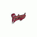 2007 08-2008 09 Peterborough Petes Alternate Logo Light Iron-on Stickers (Heat Transfers)