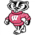 2002-Pres Wisconsin Badgers Mascot Logo Light Iron-on Stickers (Heat Transfers)