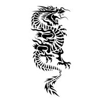 Oriental Dragon Light Iron On Stickers (Heat Transfers)