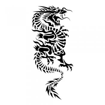 Oriental Dragon Light Iron On Stickers (Heat Transfers)