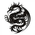 Dragon Print Light Iron On Stickers (Heat Transfers)