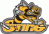 1999 00-Pres Sarnia Sting Primary Logo Light Iron-on Stickers (Heat Transfers)