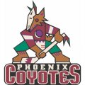 Phoenix Coyotes Primary Logo  Light Iron-on Stickers (Heat Transfers)