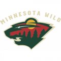 Minnesota Wild Alternate Logo  Light Iron-on Stickers (Heat Transfers) version 2