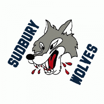 1989 90-2008 09 Sudbury Wolves Photo Gallery Jersey Logo Light Iron-on Stickers (Heat Transfers)