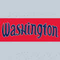 Washington Mystics 2011-Pres Wordmark Logo Transfers for dress 4